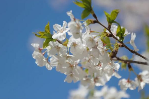 泰達城市公園保安崗?fù)げ少復(fù)戤呉馕吨裁?></a></div>

                        <div   id=